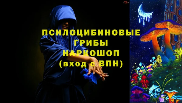 ешки Алексеевка